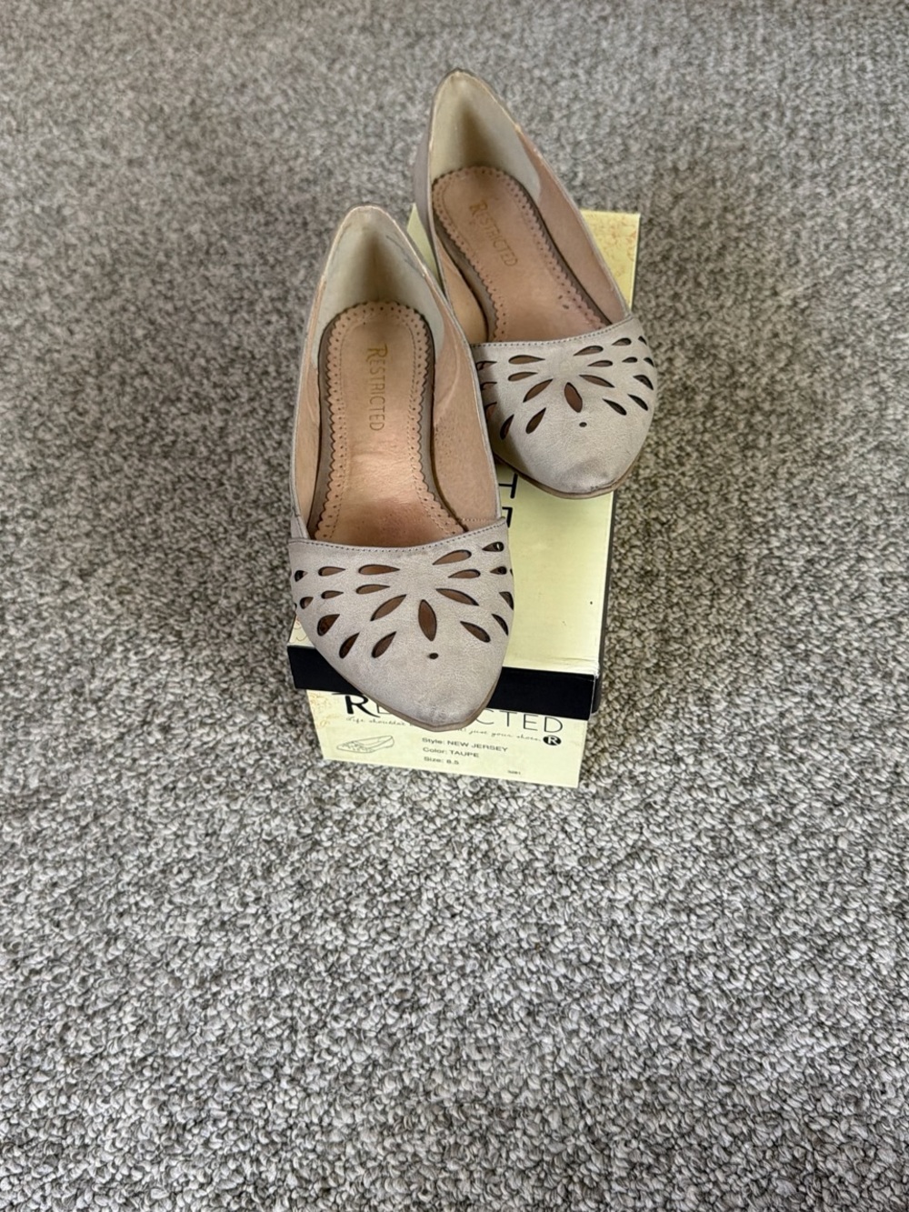 Restricted Taupe Laser-Cut Pointed Toe Flats